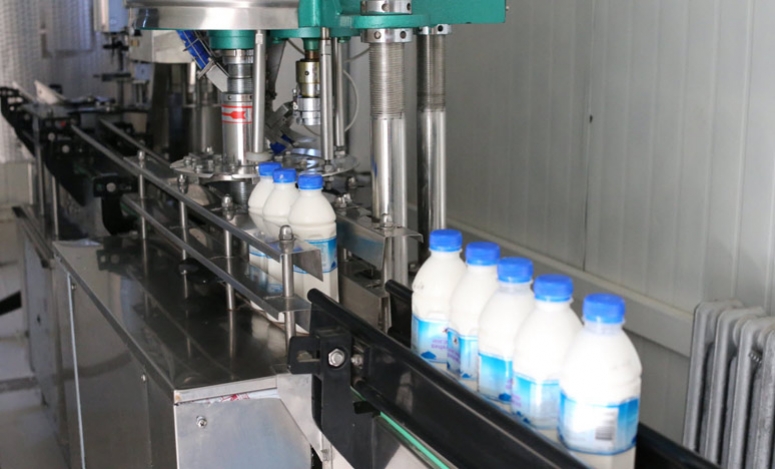 Infiintare / modernizare fabrica lactate