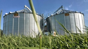 Infiintare / Modernizare Siloz De Cereale